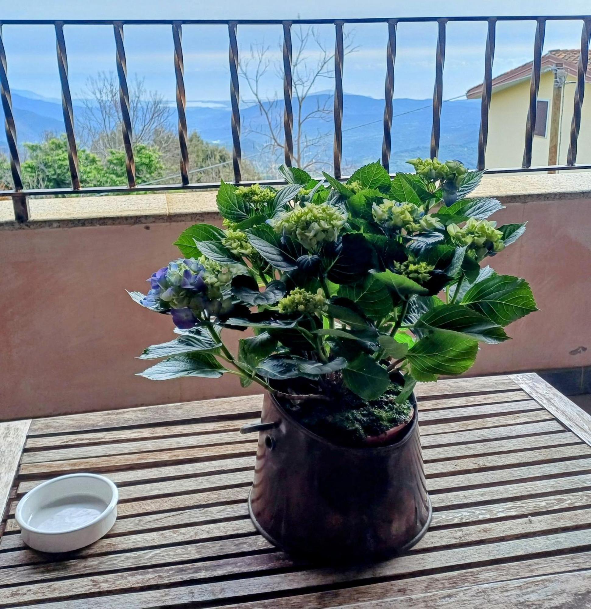 Monti E Mare Bed & Breakfast Lanusei Bagian luar foto